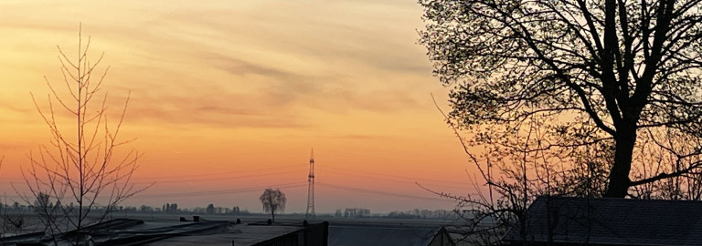 Morgenlicht
