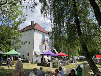 Tauffest 2023-7